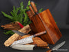 12-piece combination chef-steak knife set in knife block  showing 210mm honesuki, bunka, carving, and utility knife in foreground luxury kitchen knife set by Salter Fine Cutlery of Hawaii