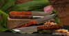 4-piece steak knife set with solid curly Hawaiian koa wood handles from Salter Fine Cutlery